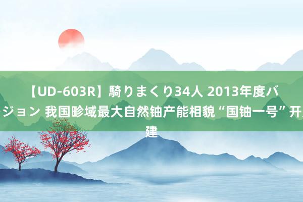 【UD-603R】騎りまくり34人 2013年度バージョン 我国畛域最大自然铀产能相貌“国铀一号”开建