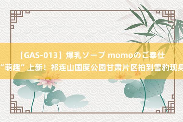 【GAS-013】爆乳ソープ momoのご奉仕 “萌趣”上新！祁连山国度公园甘肃片区拍到雪豹现身