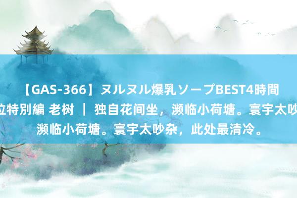 【GAS-366】ヌルヌル爆乳ソープBEST4時間 マットSEX騎乗位特別編 老树 ｜ 独自花间坐，濒临小荷塘。寰宇太吵杂，此处最清冷。