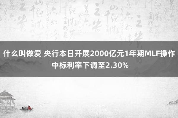 什么叫做爱 央行本日开展2000亿元1年期MLF操作 中标利率下调至2.30%