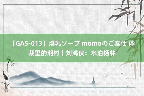 【GAS-013】爆乳ソープ momoのご奉仕 体裁里的湘村丨刘鸿伏：水泊杨林