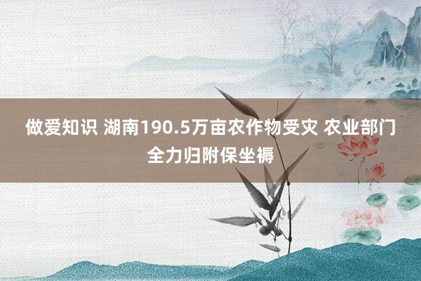 做爱知识 湖南190.5万亩农作物受灾 农业部门全力归附保坐褥