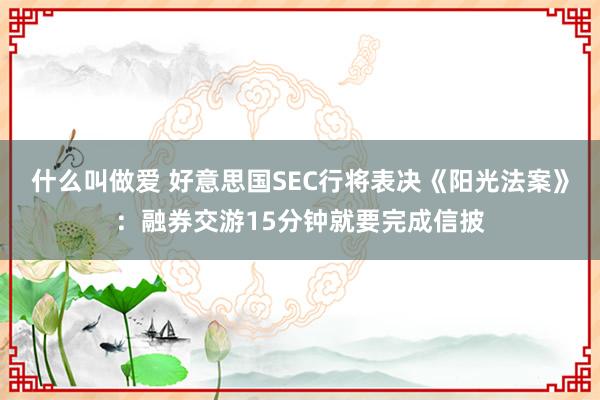 什么叫做爱 好意思国SEC行将表决《阳光法案》：融券交游15分钟就要完成信披