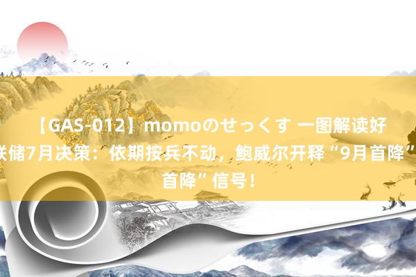 【GAS-012】momoのせっくす 一图解读好意思联储7月决策：依期按兵不动，鲍威尔开释“9月首降”信号！