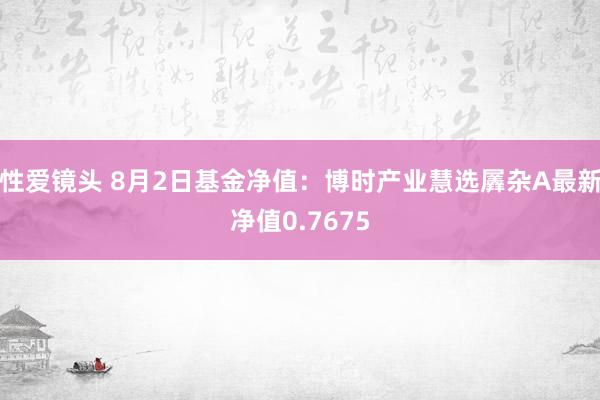 性爱镜头 8月2日基金净值：博时产业慧选羼杂A最新净值0.7675