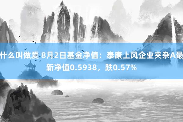 什么叫做爱 8月2日基金净值：泰康上风企业夹杂A最新净值0.5938，跌0.57%