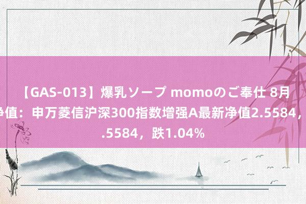 【GAS-013】爆乳ソープ momoのご奉仕 8月2日基金净值：申万菱信沪深300指数增强A最新净值2.5584，跌1.04%