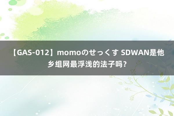 【GAS-012】momoのせっくす SDWAN是他乡组网最浮浅的法子吗？