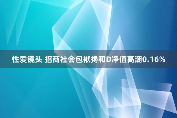 性爱镜头 招商社会包袱搀和D净值高潮0.16%