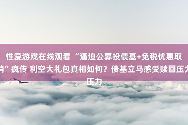 性爱游戏在线观看 “逼迫公募投债基+免税优惠取消”疯传 利空大礼包真相如何？债基立马感受赎回压力