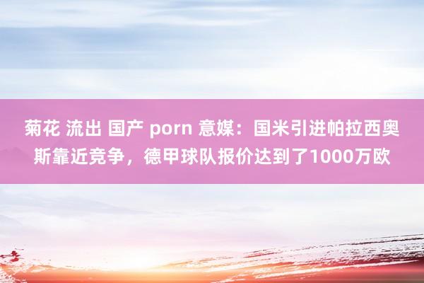 菊花 流出 国产 porn 意媒：国米引进帕拉西奥斯靠近竞争，德甲球队报价达到了1000万欧