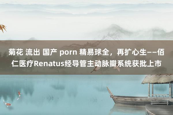 菊花 流出 国产 porn 精易球全，再扩心生——佰仁医疗Renatus经导管主动脉瓣系统获批上市