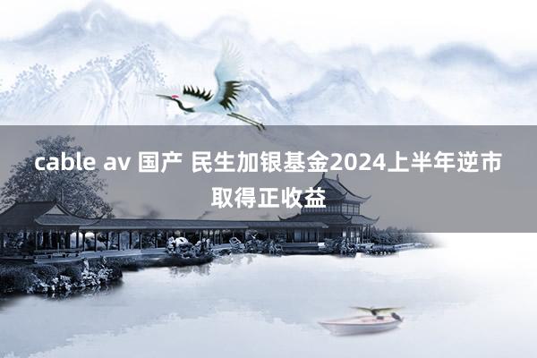 cable av 国产 民生加银基金2024上半年逆市取得正收益