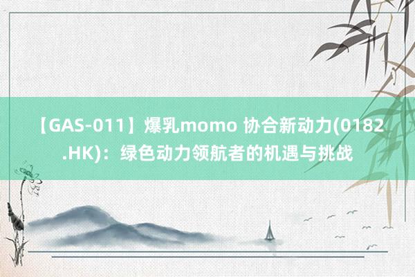 【GAS-011】爆乳momo 协合新动力(0182.HK)：绿色动力领航者的机遇与挑战