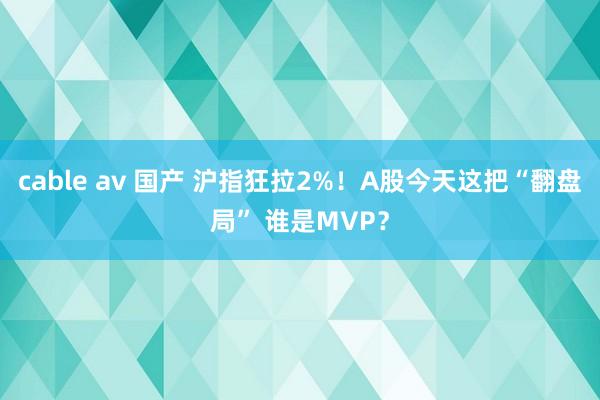 cable av 国产 沪指狂拉2%！A股今天这把“翻盘局” 谁是MVP？