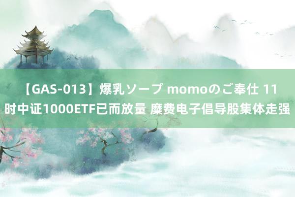 【GAS-013】爆乳ソープ momoのご奉仕 11时中证1000ETF已而放量 糜费电子倡导股集体走强