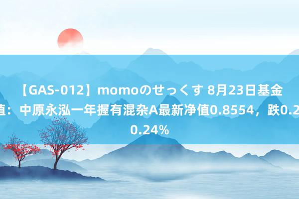 【GAS-012】momoのせっくす 8月23日基金净值：中原永泓一年握有混杂A最新净值0.8554，跌0.24%