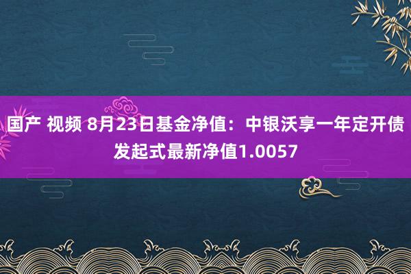 国产 视频 8月23日基金净值：中银沃享一年定开债发起式最新净值1.0057