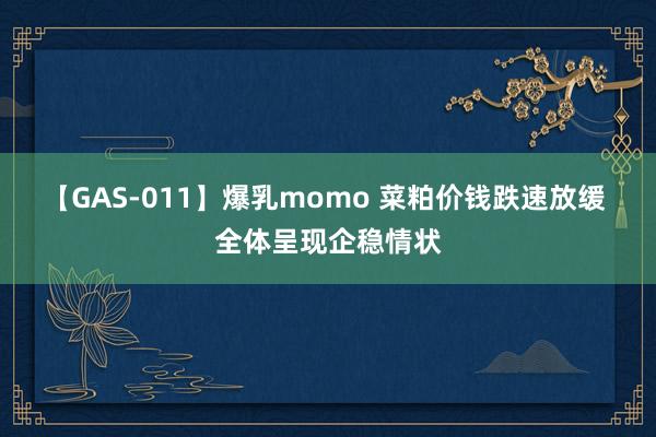 【GAS-011】爆乳momo 菜粕价钱跌速放缓 全体呈现企稳情状