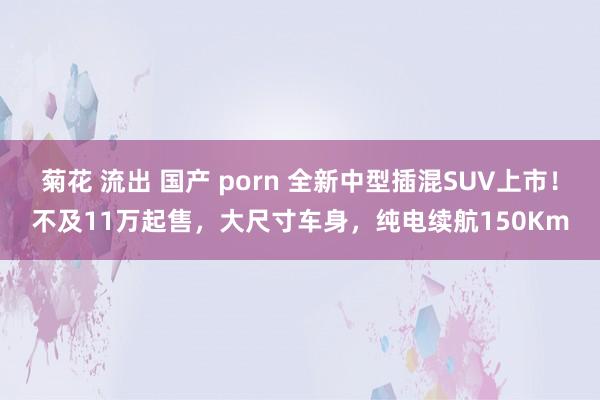 菊花 流出 国产 porn 全新中型插混SUV上市！不及11万起售，大尺寸车身，纯电续航150Km