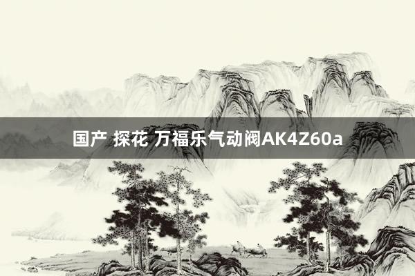 国产 探花 万福乐气动阀AK4Z60a