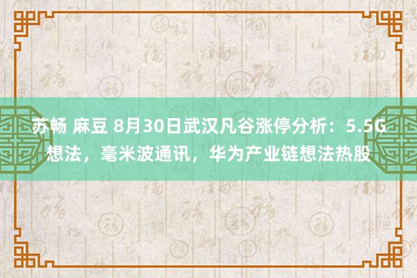 苏畅 麻豆 8月30日武汉凡谷涨停分析：5.5G想法，毫米波通讯，华为产业链想法热股