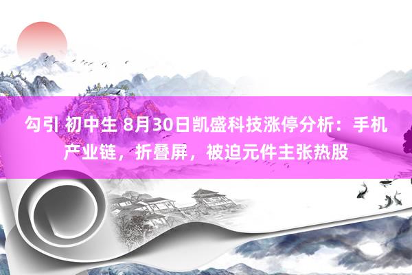 勾引 初中生 8月30日凯盛科技涨停分析：手机产业链，折叠屏，被迫元件主张热股