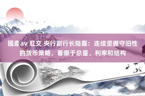 國產av 肛交 央行副行长陆磊：连续坚握守旧性的货币策略，着眼于总量、利率和结构