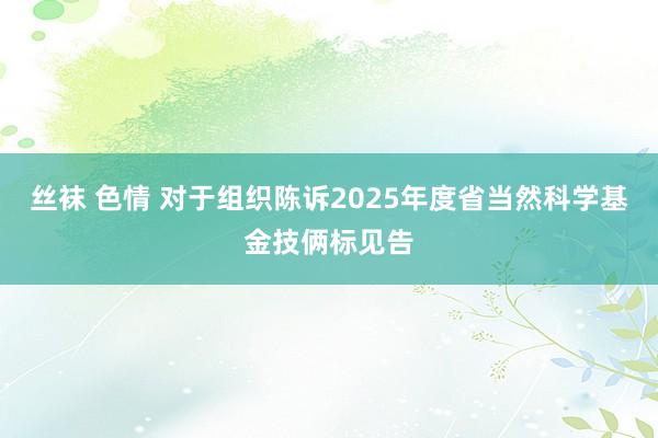 丝袜 色情 对于组织陈诉2025年度省当然科学基金技俩标见告