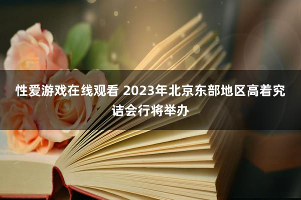 性爱游戏在线观看 2023年北京东部地区高着究诘会行将举办