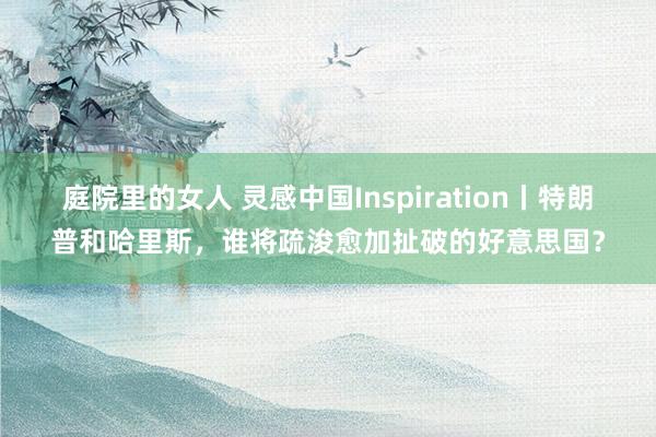 庭院里的女人 灵感中国Inspiration丨特朗普和哈里斯，谁将疏浚愈加扯破的好意思国？