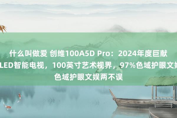 什么叫做爱 创维100A5D Pro：2024年度巨献，mini LED智能电视，100英寸艺术视界，97%色域护眼文娱两不误