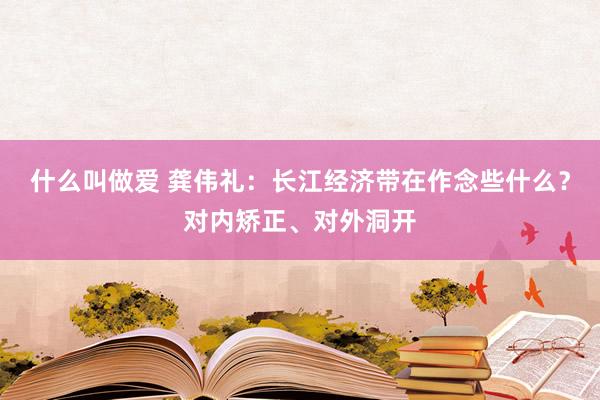 什么叫做爱 龚伟礼：长江经济带在作念些什么？对内矫正、对外洞开